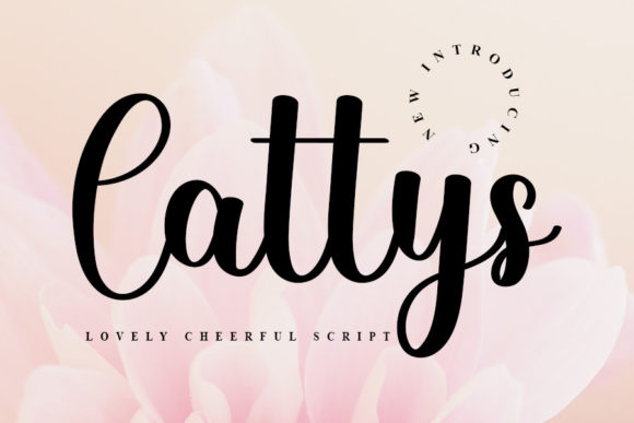 Cattys: A Script Amp for Real Design Work