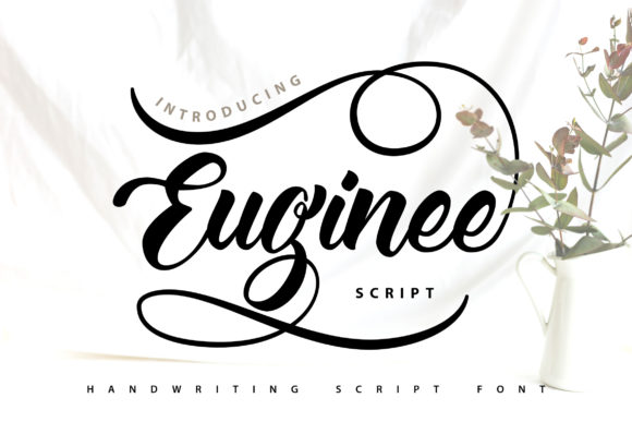 Euginee: A Script Amp for Elegant Design