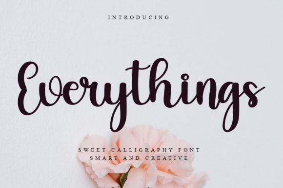 Everythings: A Delicate Script Font