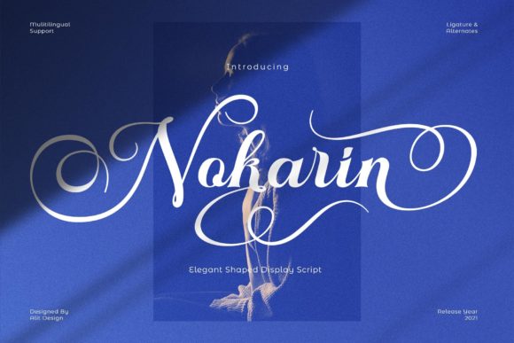 Nokarin: A Script Amp for Real Design Work