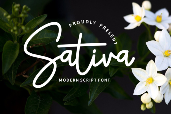 Sativa: A Flowing Font for Web Design